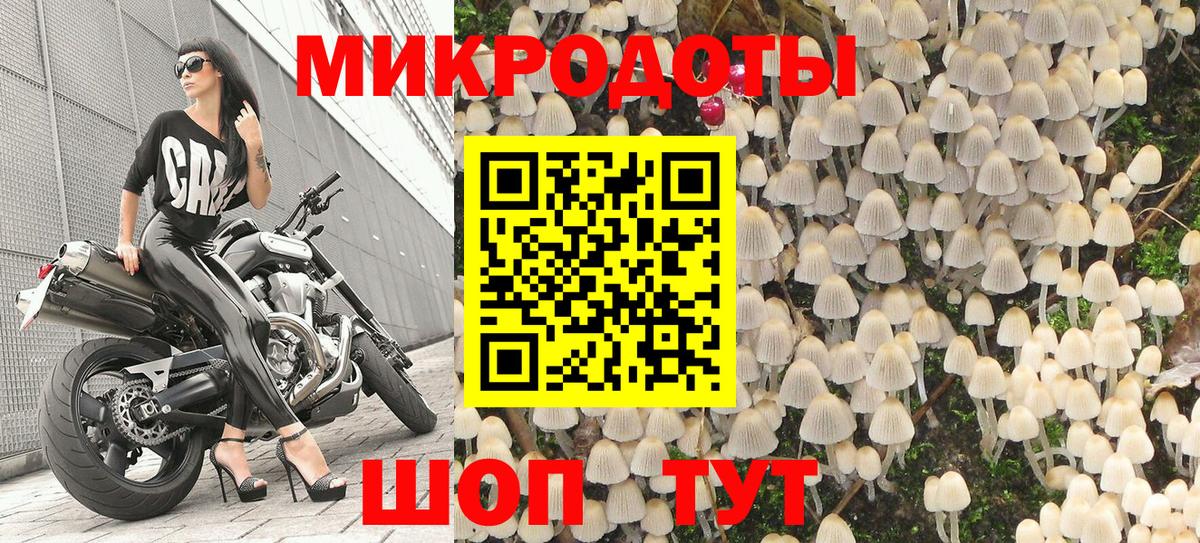 Галлюциногенные грибы мицелий  Псилоцибиновые грибы прущие грибы  Вход с VPN  Чайковский 