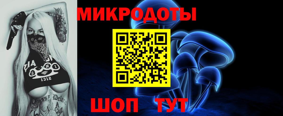 Псилоцибиновые грибы прущие грибы Чайковский